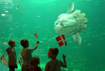Top ten famous tourist attractions in Denmark6