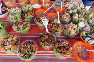Chile Travel Guide5