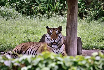 Dominican Tourist Attractions4