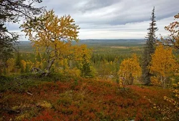 A complete list of tourist attractions in Finland26