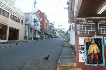 Travel guides for Trinidad and Tobago4