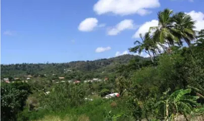 Travel Guide of Grenada6
