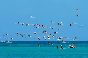 A complete list of tourist attractions in the Bahamas8