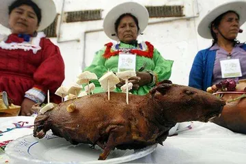 "Guinea Pig Festival" in the small town of Huacho, Peru3
