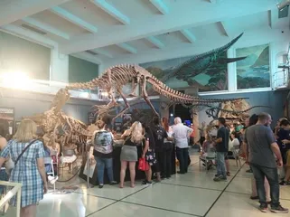 Introduction to Argentina Museum Attractions6
