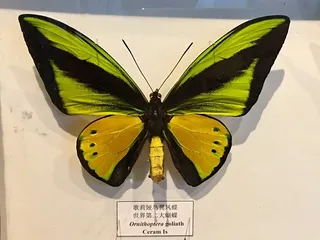 Introduction to Argentina Museum Attractions7