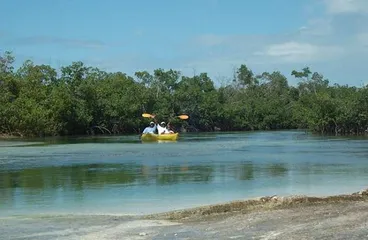 Top 10 Tourist Attractions in Bahamas5
