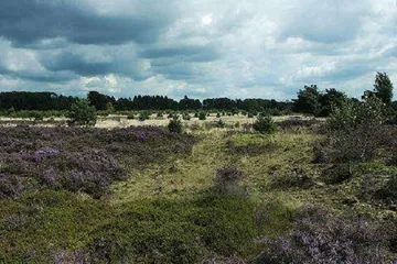 Top ten tourist attractions in the Netherlands1