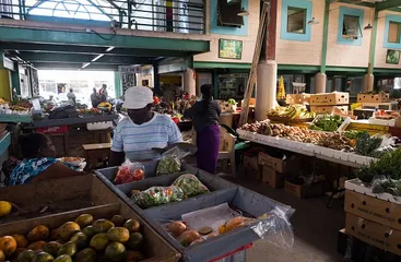 Antigua and Barbuda customs3