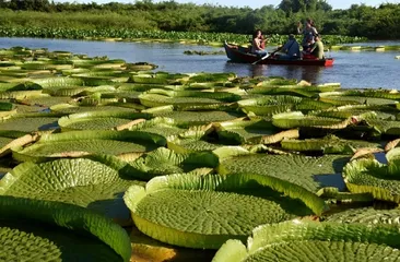 A complete list of tourist attractions in Paraguay