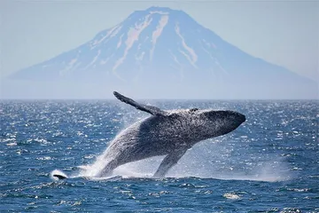 Top ten tourist attractions in Argentina9