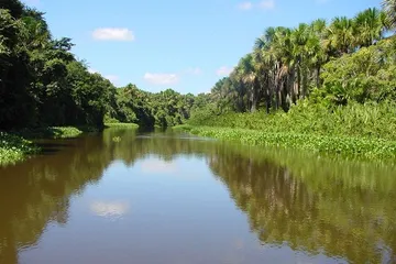Top 10 Tourist Attractions in Bolivar, Venezuela7