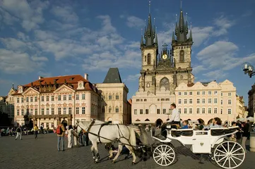 Czech customs1
