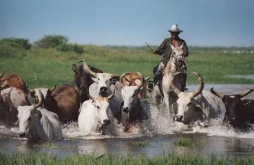 Top 10 famous tourist attractions in Guyana7