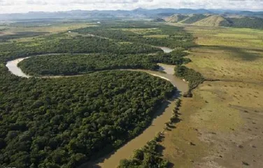 Top 10 famous tourist attractions in Guyana8
