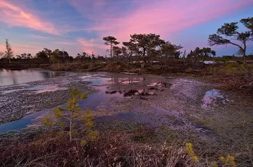 Introduction to the top ten tourist attractions in Latvia8