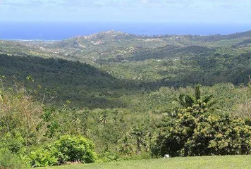 A complete list of tourist attractions in Barbados10
