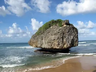 A complete list of tourist attractions in Barbados14