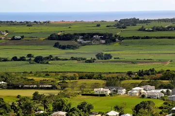 Cultural practices in Barbados