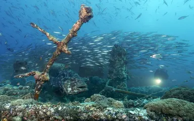 Cultural practices in Barbados6