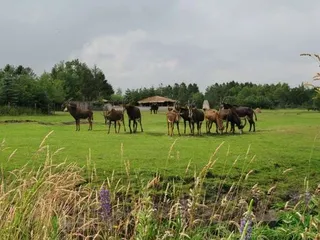 Top 10 tourist attractions in South Denmark3