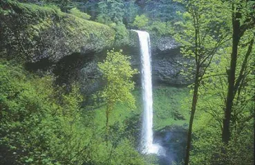 Other popular attractions in Venezuela11