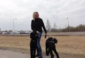 Swedish customs and taboos6