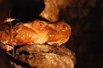 Other popular attractions in Venezuela12