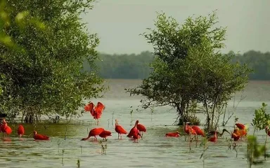 Other popular attractions in Venezuela15