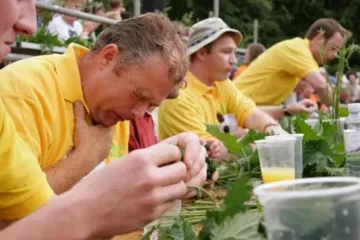 A list of wonderful festivals in the UK15