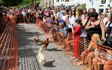 A list of wonderful festivals in the UK18