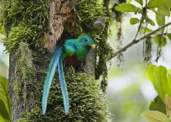 Guide to Tourist Attractions in Costa Rica3