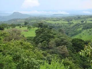 Guide to Tourist Attractions in Costa Rica5