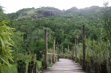 Top 10 Tourist Attractions in Fiji Islands10