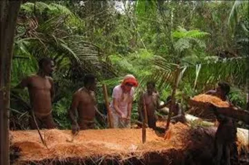 Indigenous Tribes in Papua New Guinea, Australia-The World