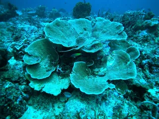 A complete list of tourist attractions in the Solomon Islands5