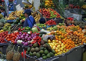 Ecuador Travel Guide2