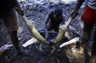 Full-time Yonggu Aboriginal people in Australia-"Crocodile Hunter"