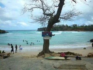 Guide to Tourist Attractions in Jamaica4