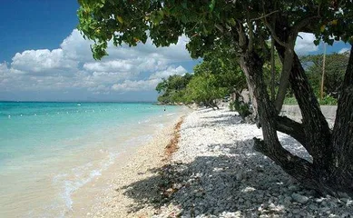 Guide to Tourist Attractions in Jamaica9