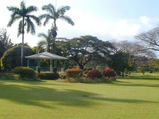 Guide to Tourist Attractions in Jamaica16