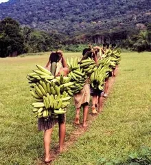 The horrific customs of the Yanomama primitive tribe4