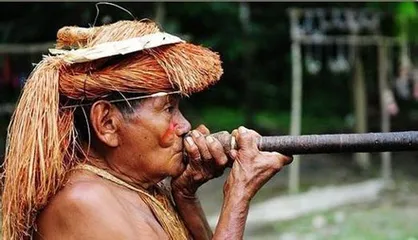 The horrific customs of the Yanomama primitive tribe6