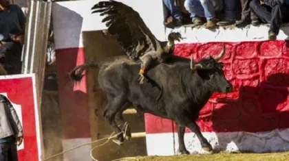 Official holidays in Peru5