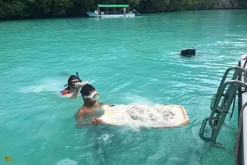 Palau Travel Guide4