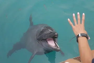 Palau Travel Guide5