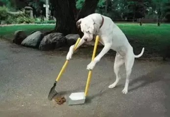 18 wonderful services you never thought of8