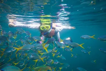 Palau Travel Guide7