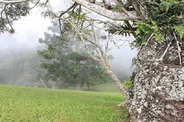 List of tourist attractions in Papua New Guinea2