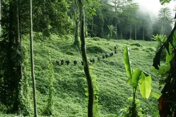 List of tourist attractions in Papua New Guinea4